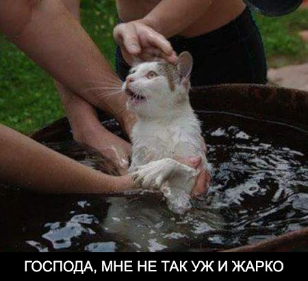 Господа, мне не так уж и жарко