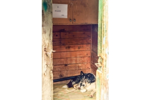 Случайное фото из Хибин