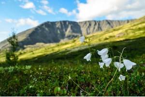 Случайное фото из Хибин