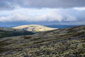 Случайное фото из Хибин