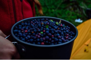 Случайное фото из Хибин