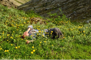 Случайное фото из Хибин